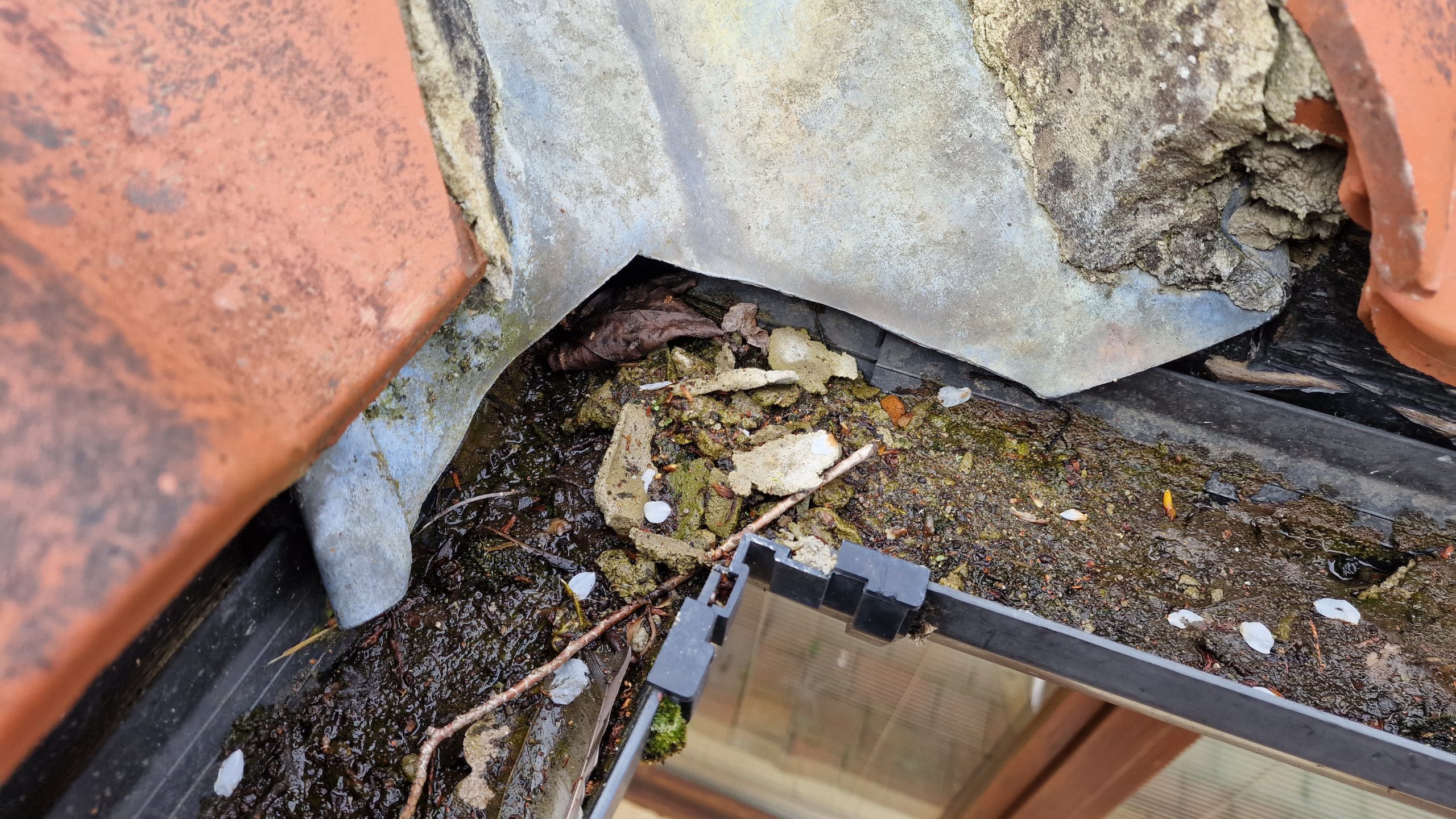 Gutter Cleaning Yarm Road, Middleton (DL2) Windows